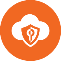 Cyber Network Security